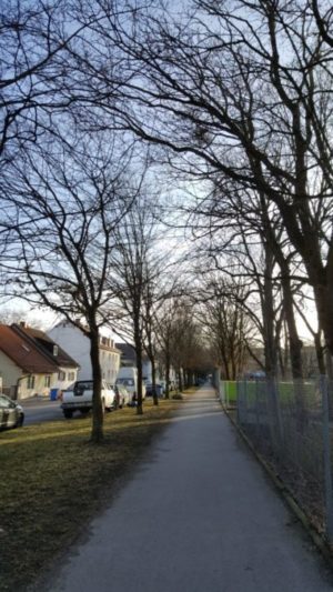 Straße am Morgen