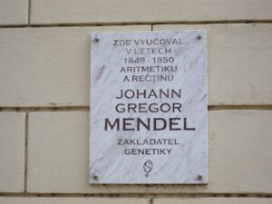 Gregor Mendel Brünn