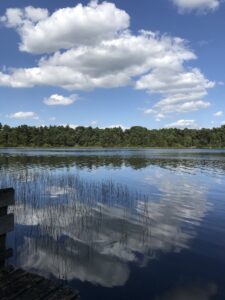 An der alten Aller