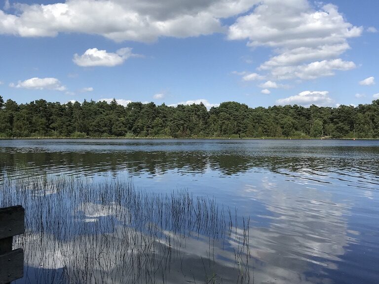 An der alten Aller